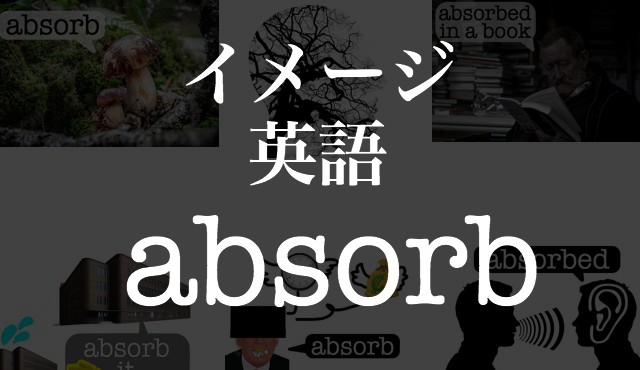 Absorbの意味 使い方は イメージ イラストで覚える英単語 フレーズ Hackeng